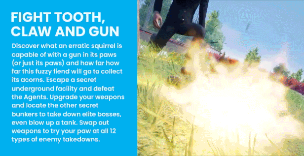 Squirrel with a Gun thumbnail
